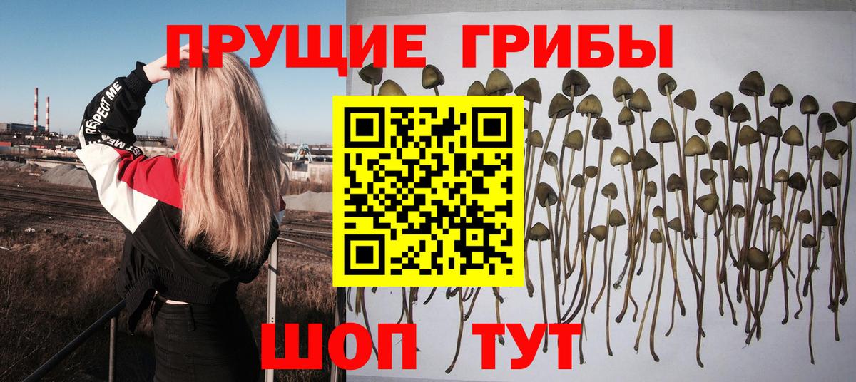 Мытищи  Галлюциногенные грибы мухоморы  Вход с VPN 